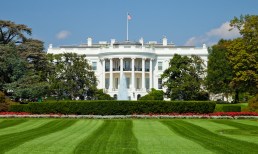 White-House