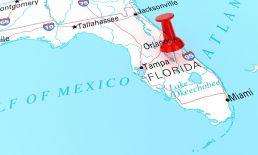 Florida OpenAI