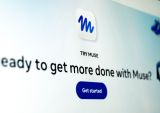 Meta Muse phone calls