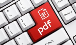 PDF-accounts-payable-B2B