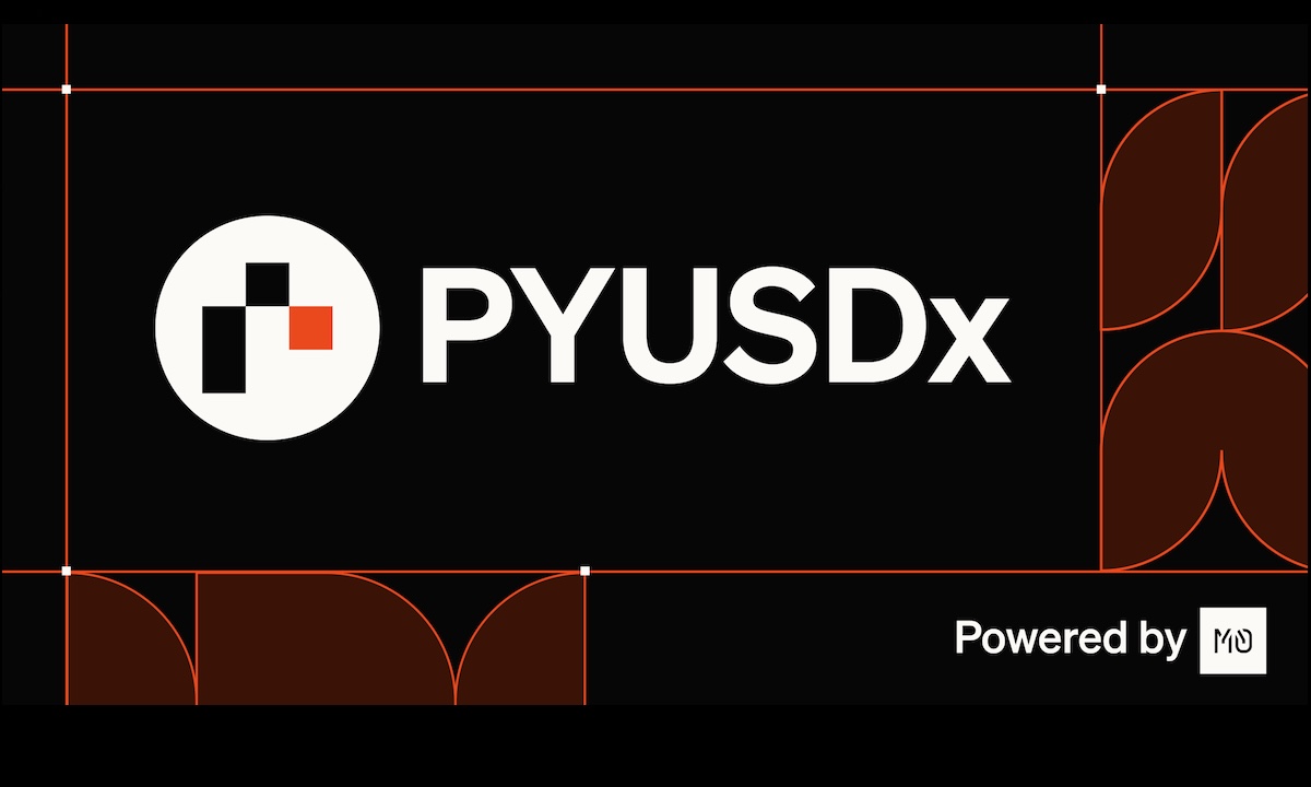 PayPal PYUSDx logo