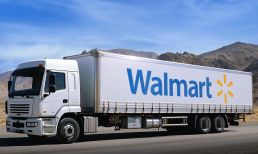 Scintilla Walmart