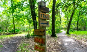 audit-trail-AI-shopping