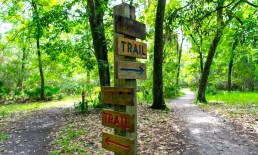audit-trail-AI-shopping