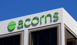 Acorns
