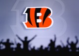 Cincinnati Bengals, Priority Commerce, payments
