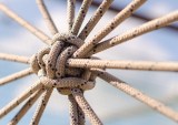 Payment Data Can Keep Merchants Tied to Their Processors